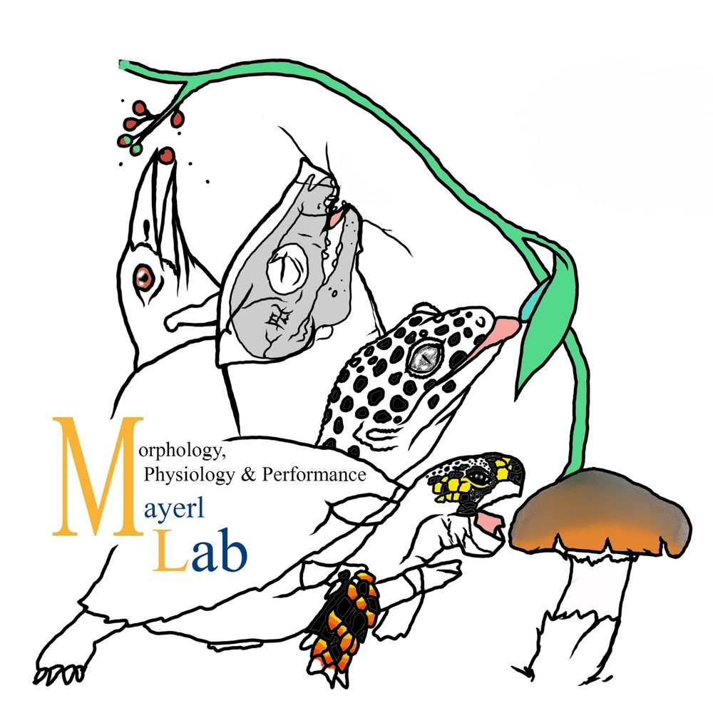 Mayerl Lab