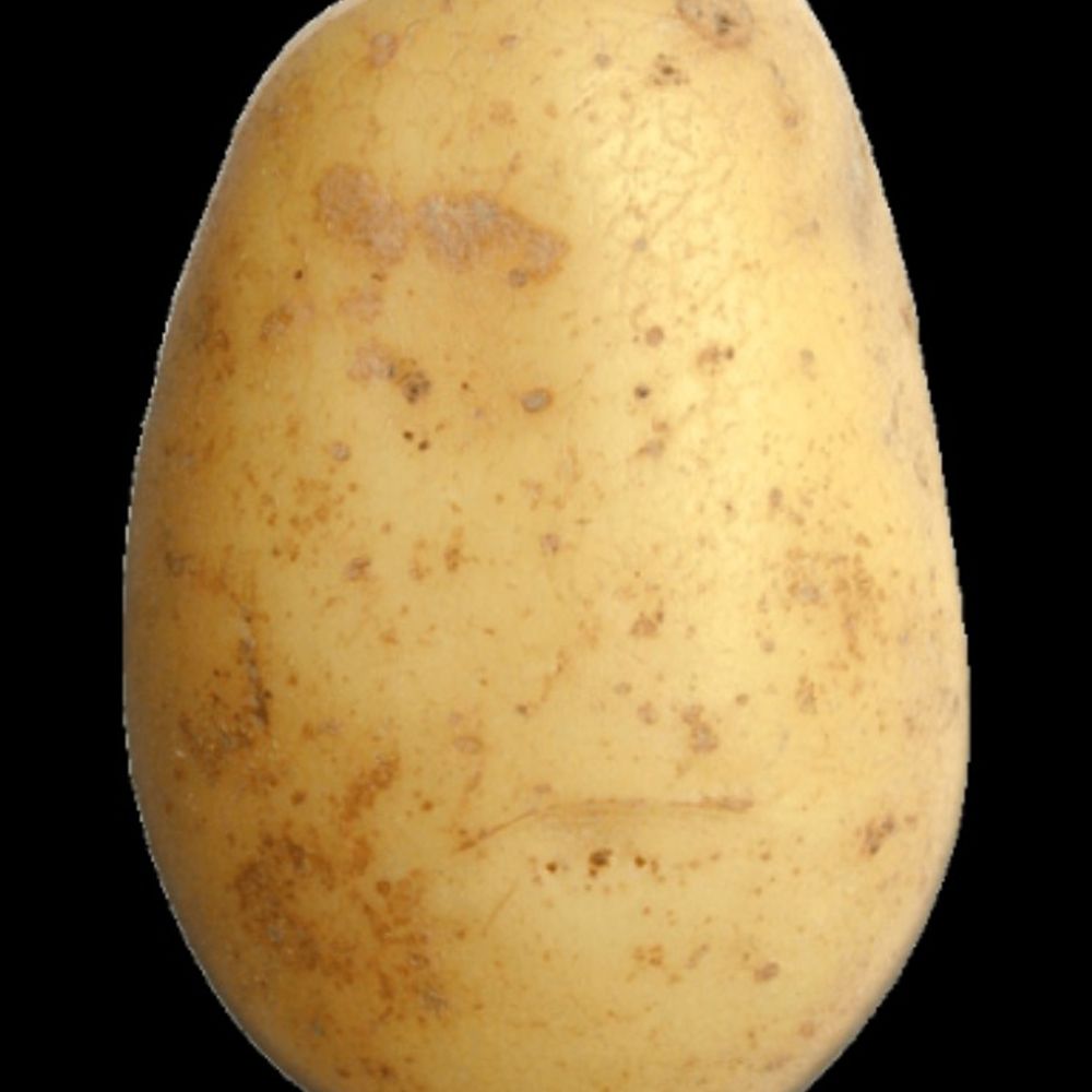 adriangt2001