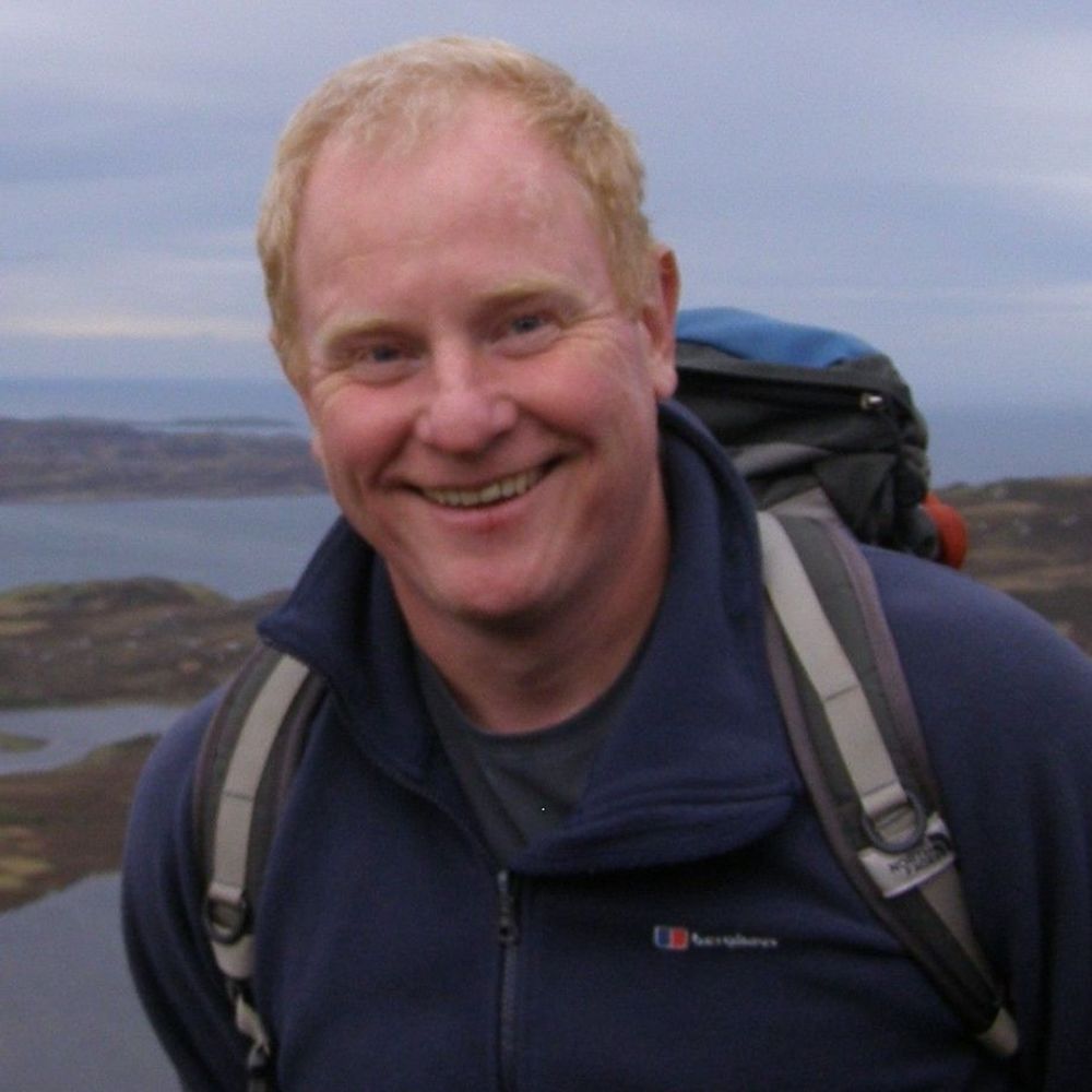 Dave Healy
