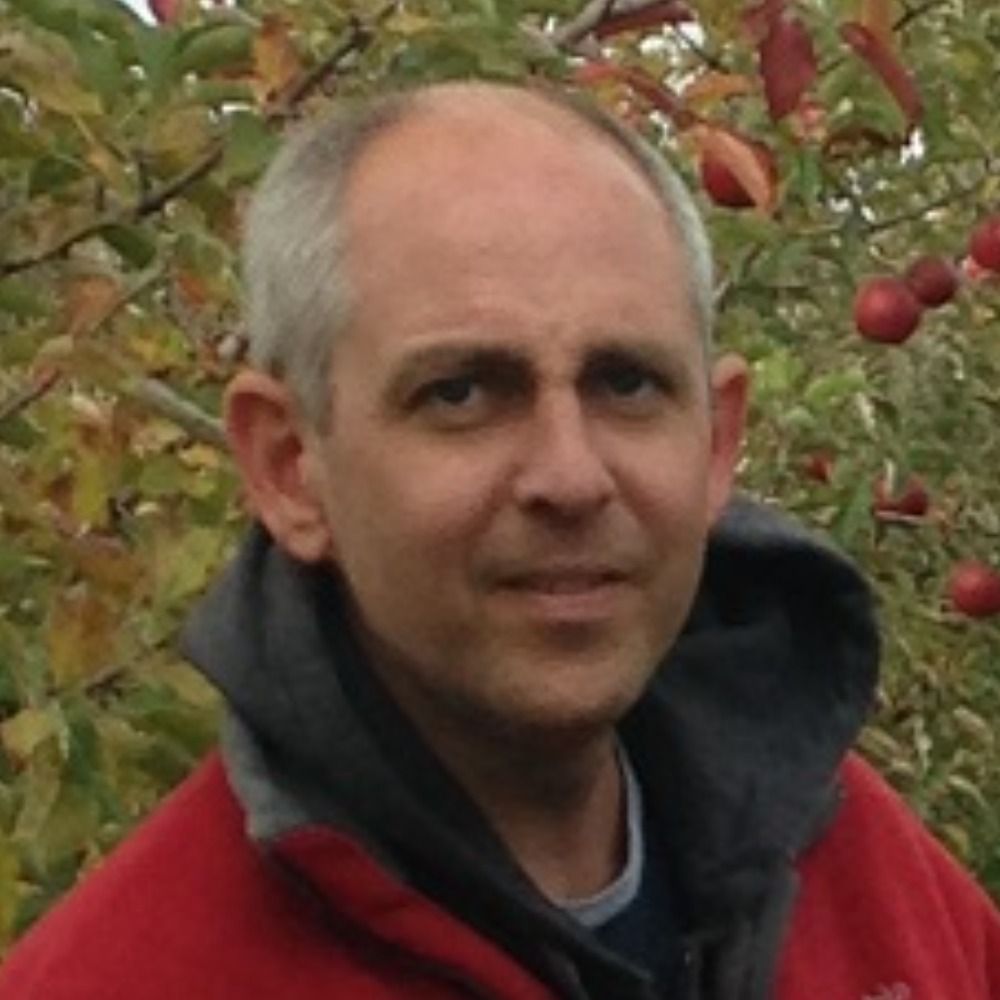 matt knachel