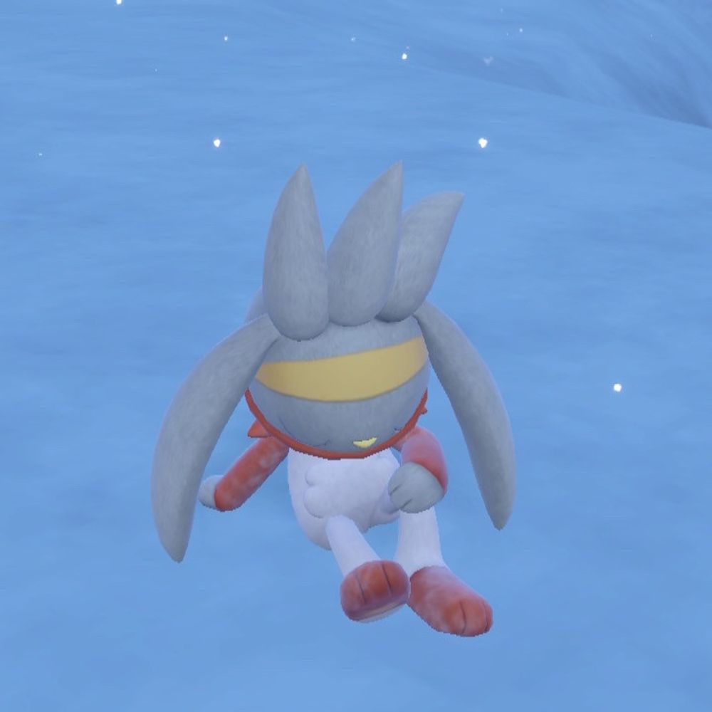 柊ラミト