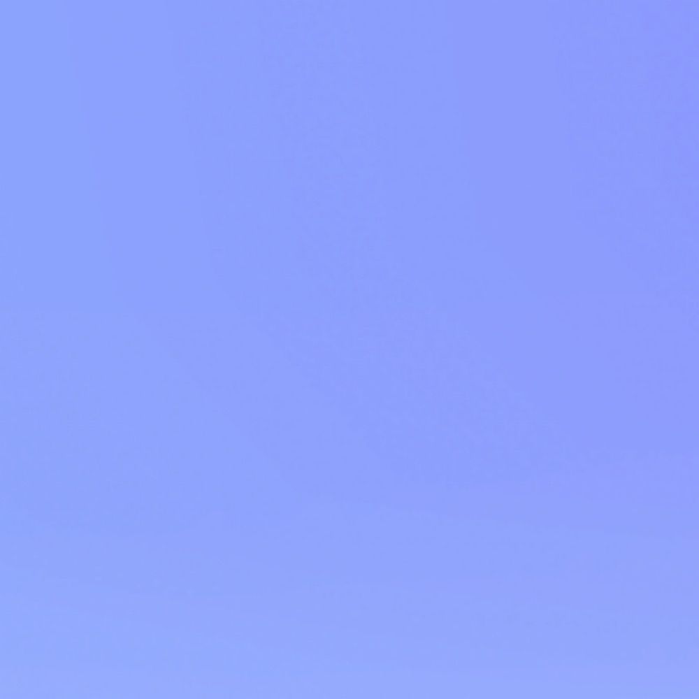 きんにふ