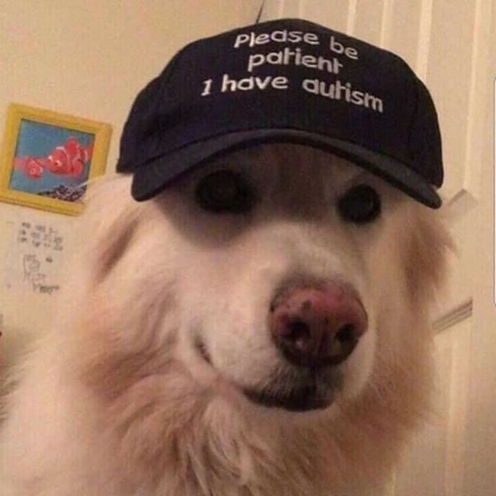 𝐝𝐢𝐧𝐨𝐳𝐚𝐯𝐫𝐫𝐲𝐨