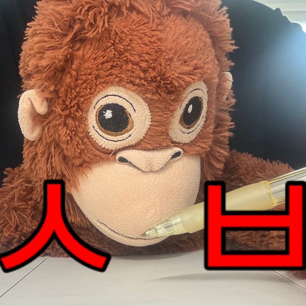 독고다이