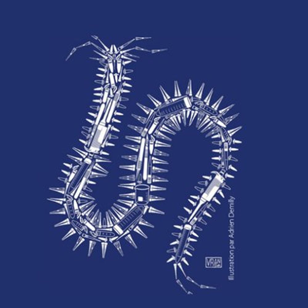 Stem Cells, Regeneration & Evolution