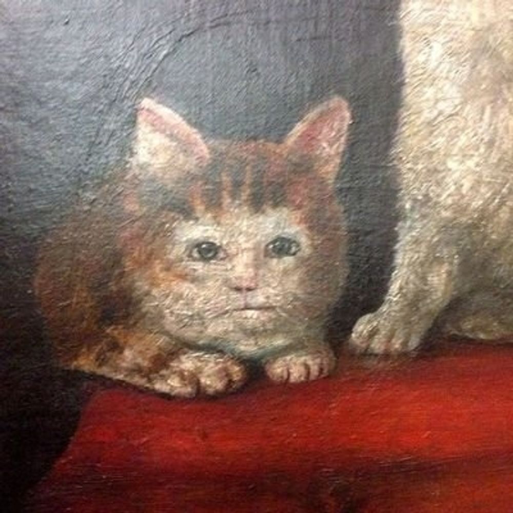 gata renascentista 