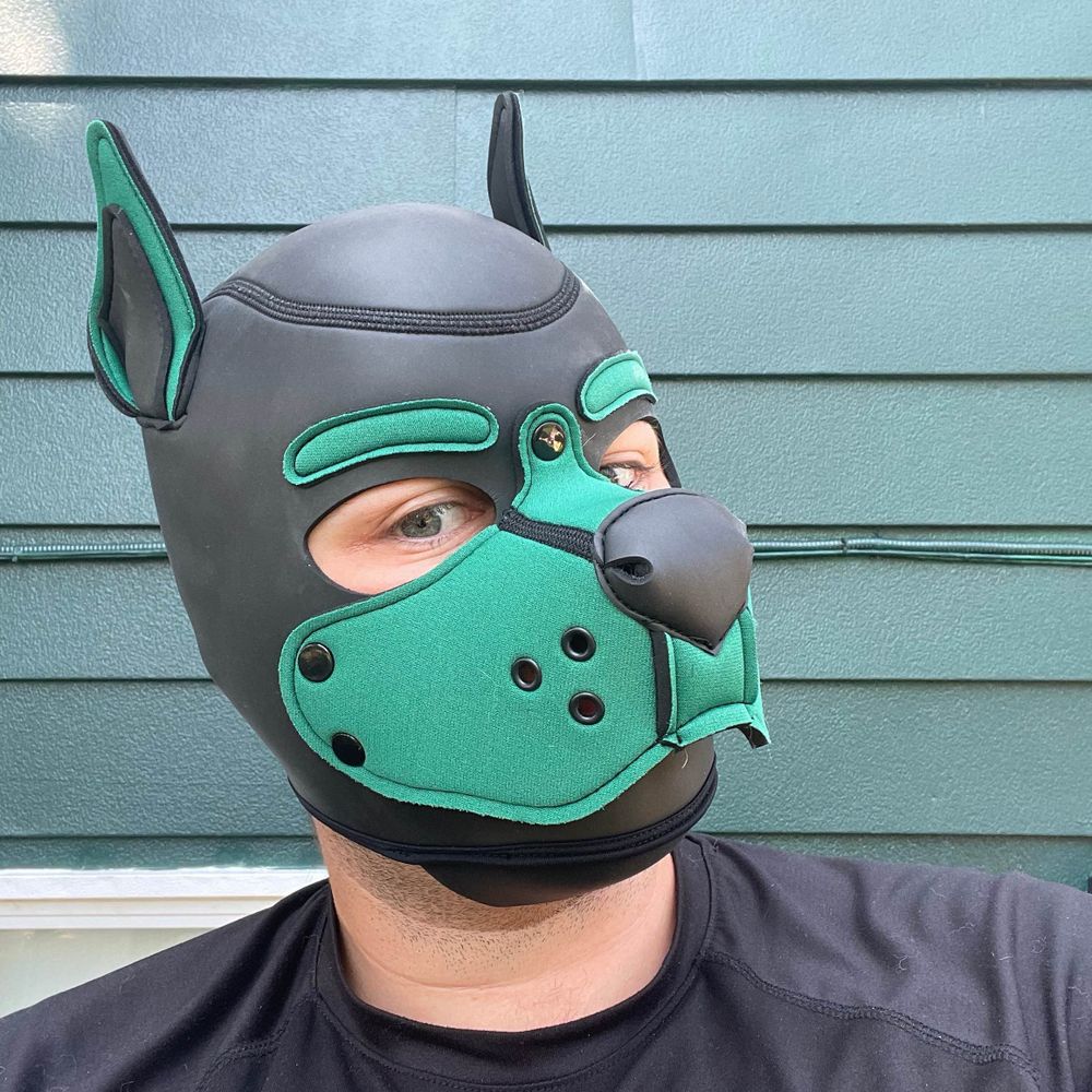 Pup Xarryan