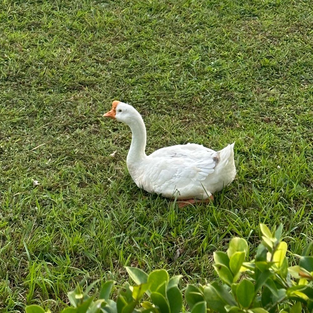 就Tm的贱狗