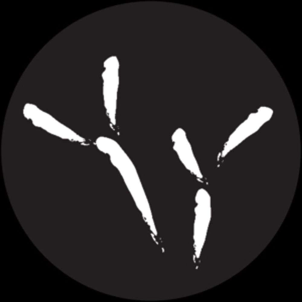 Blackbird Studio