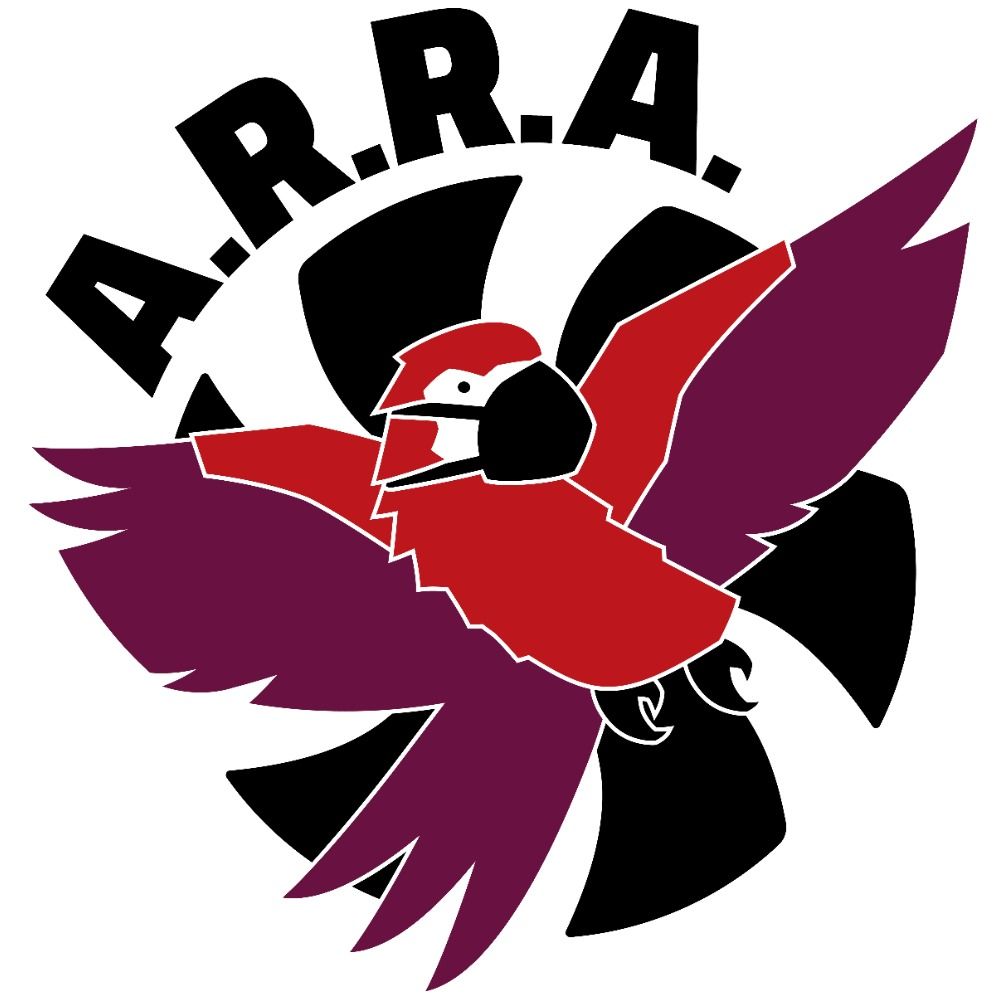 ARRA - Association pour la Réduction des Risques Aéroportés's avatar