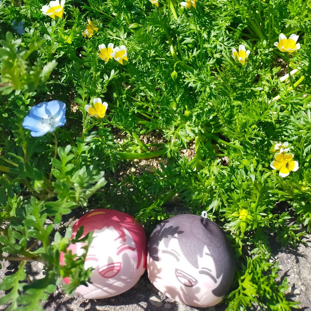 もちこ🍙