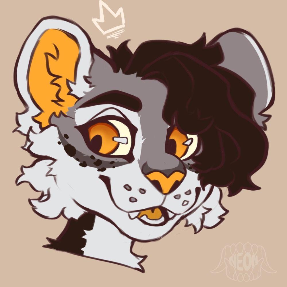 Raine Cheetah 🔜CFZ25