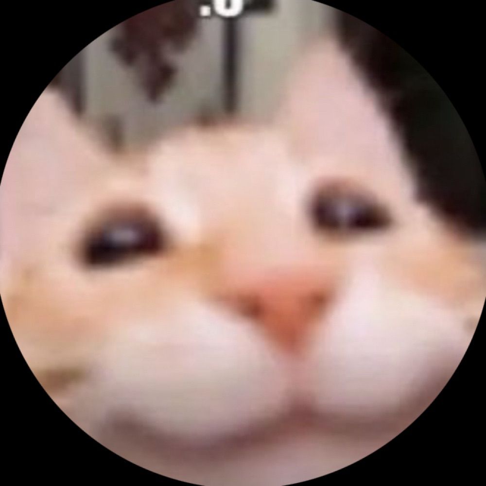 eulphie 🏳️‍🌈