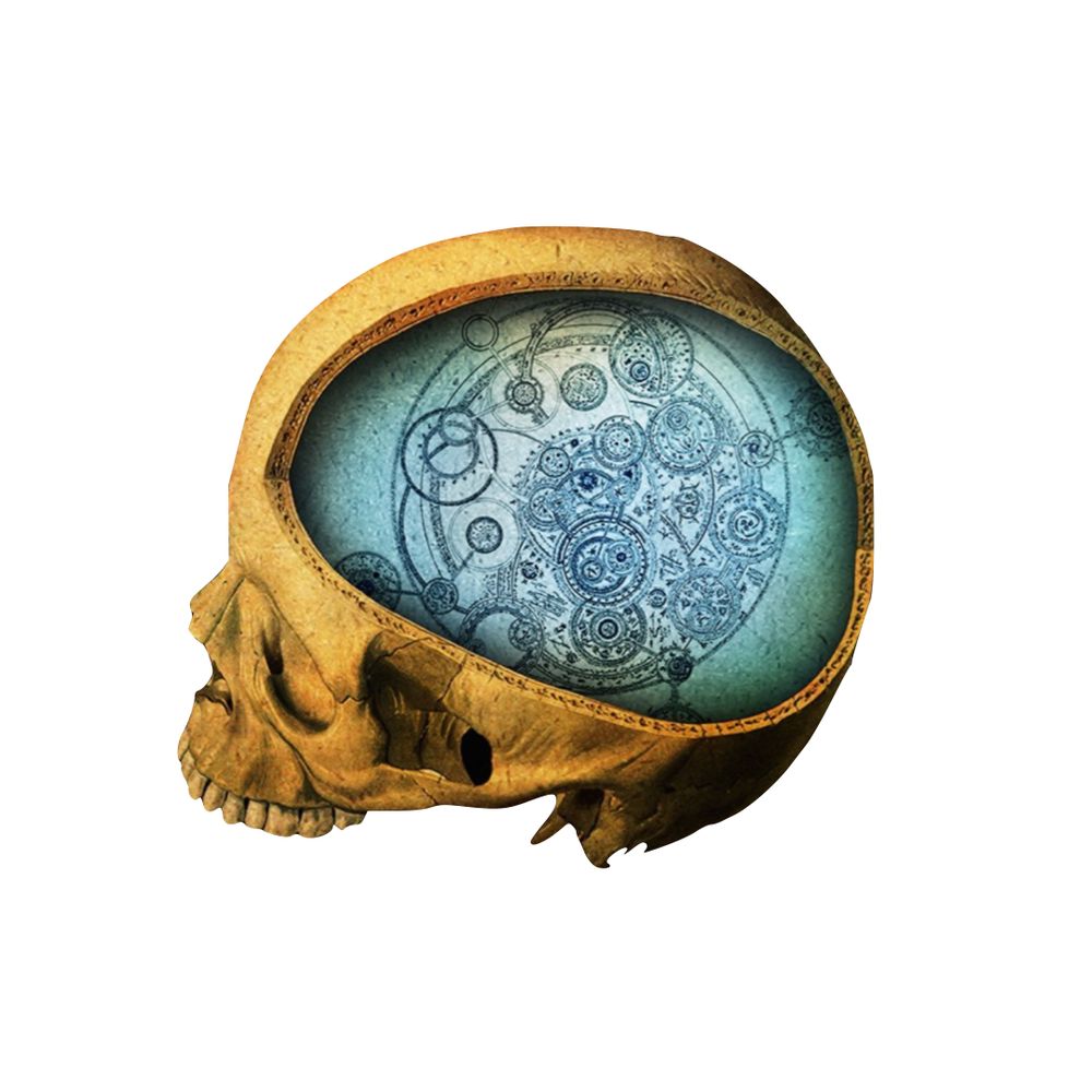 Anatomie Studio London