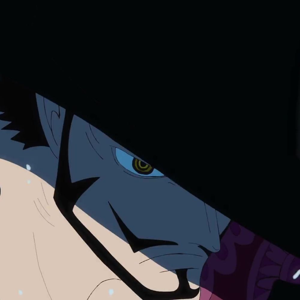 Daily Dracule Mihawk 🖤