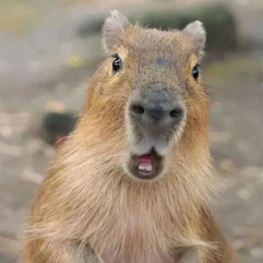 Digital Capybara