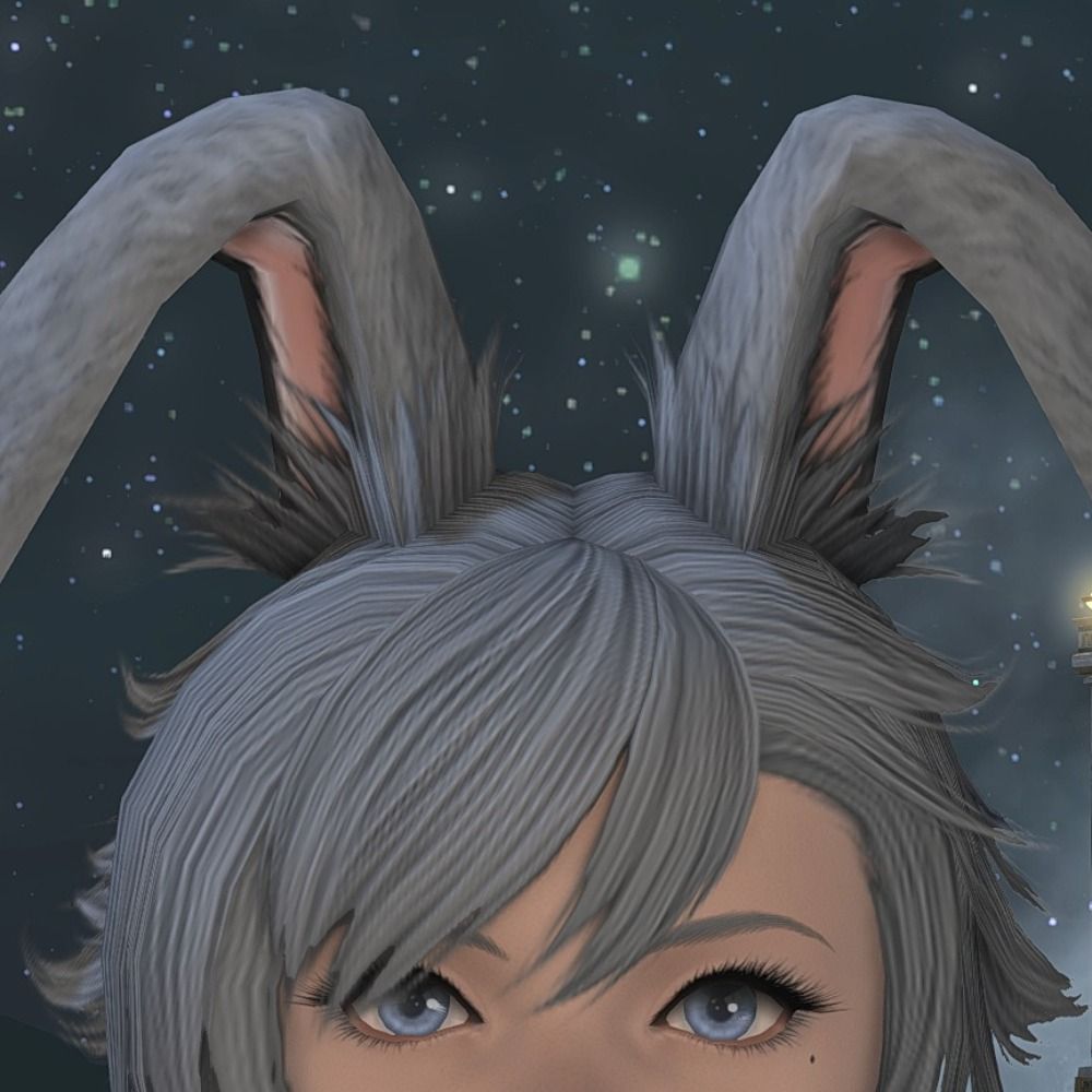 🐰