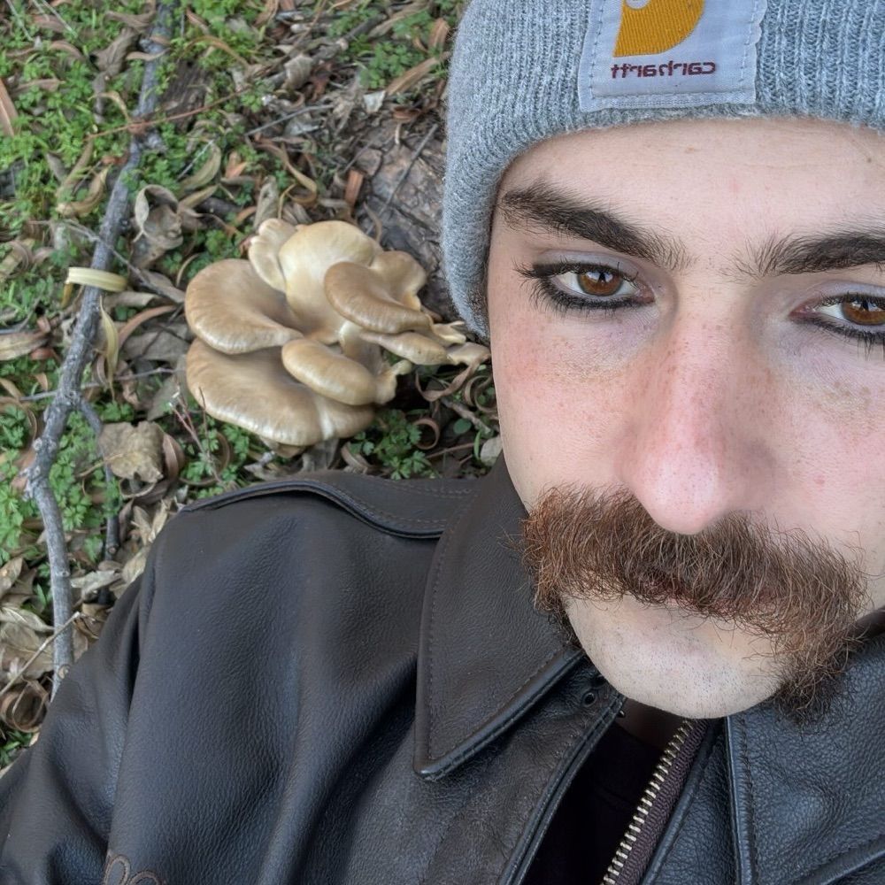 Luke Lupton