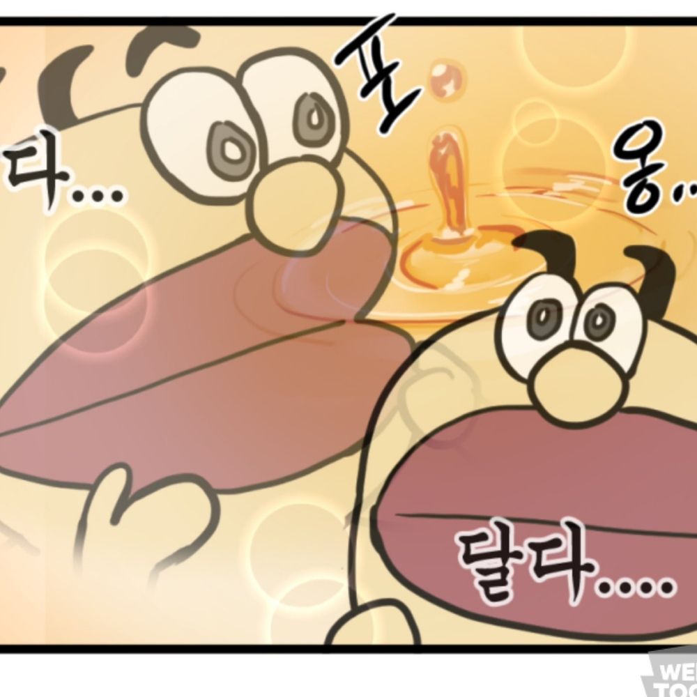키위