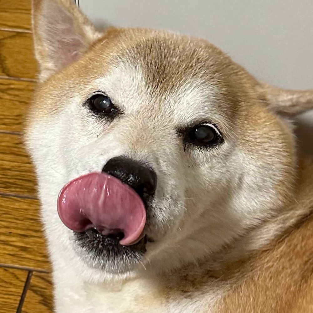 ハチ