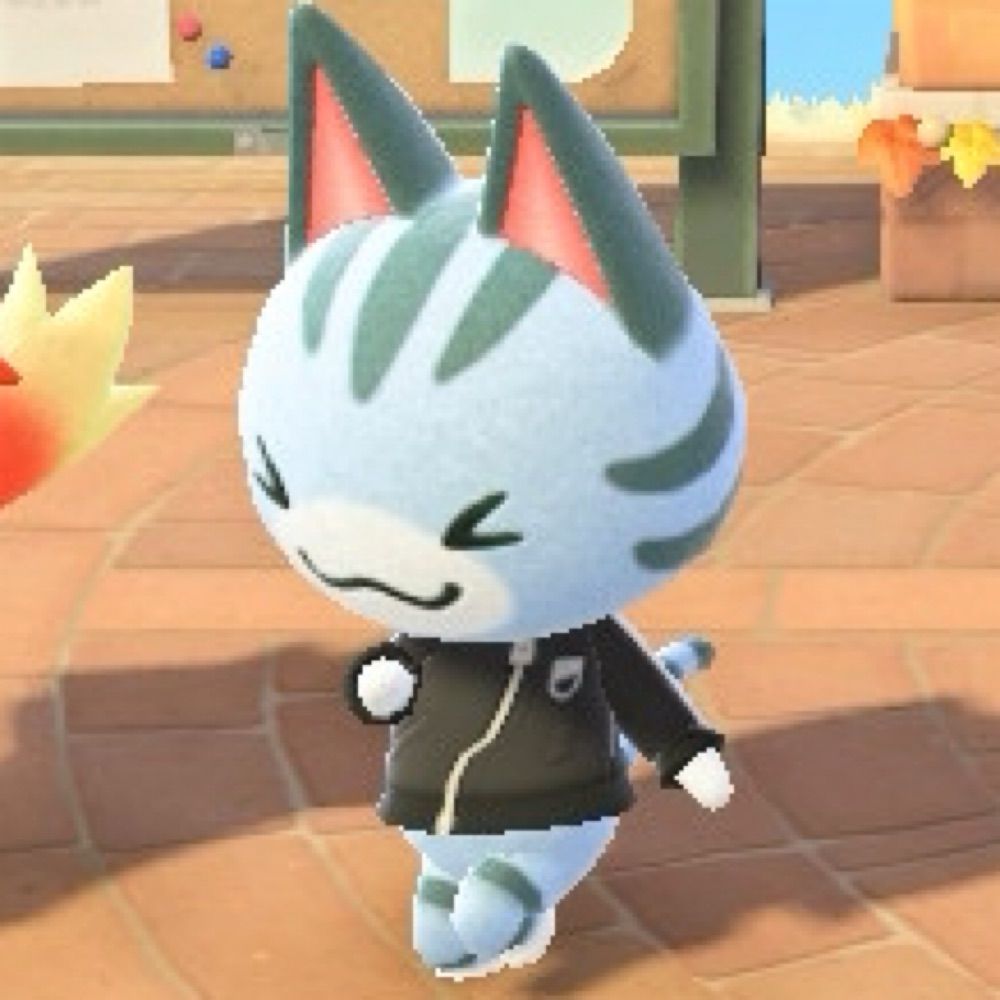 ぽむじゅ
