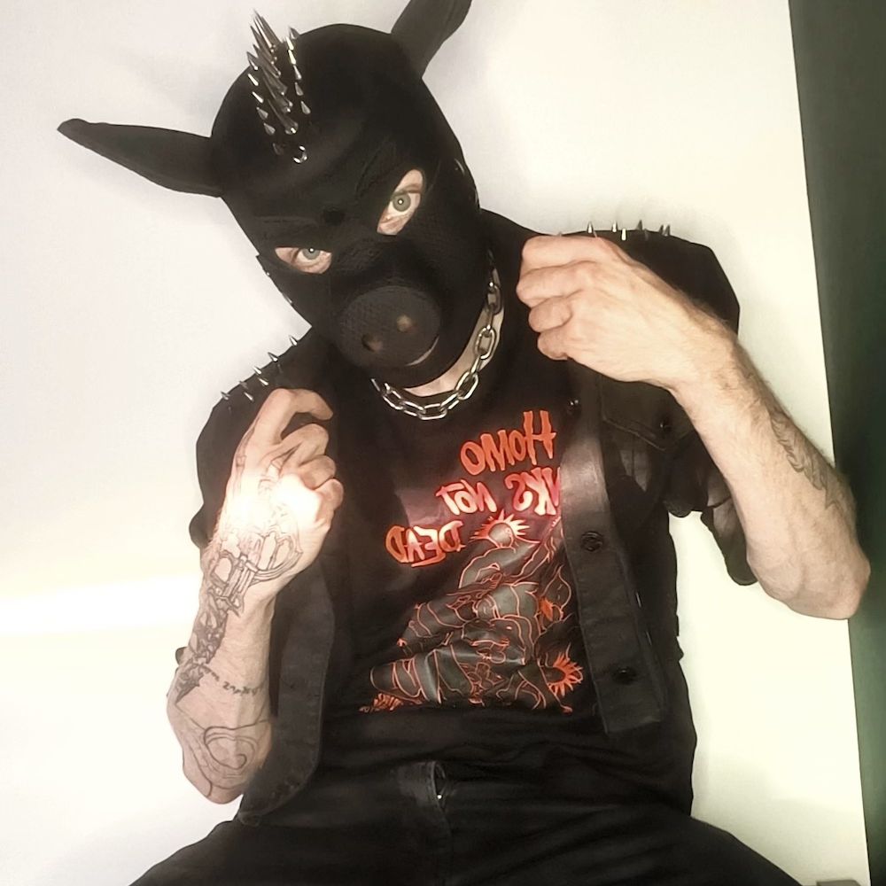 punkpig