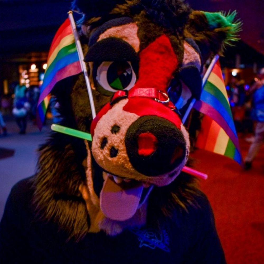 Towo The Doggo