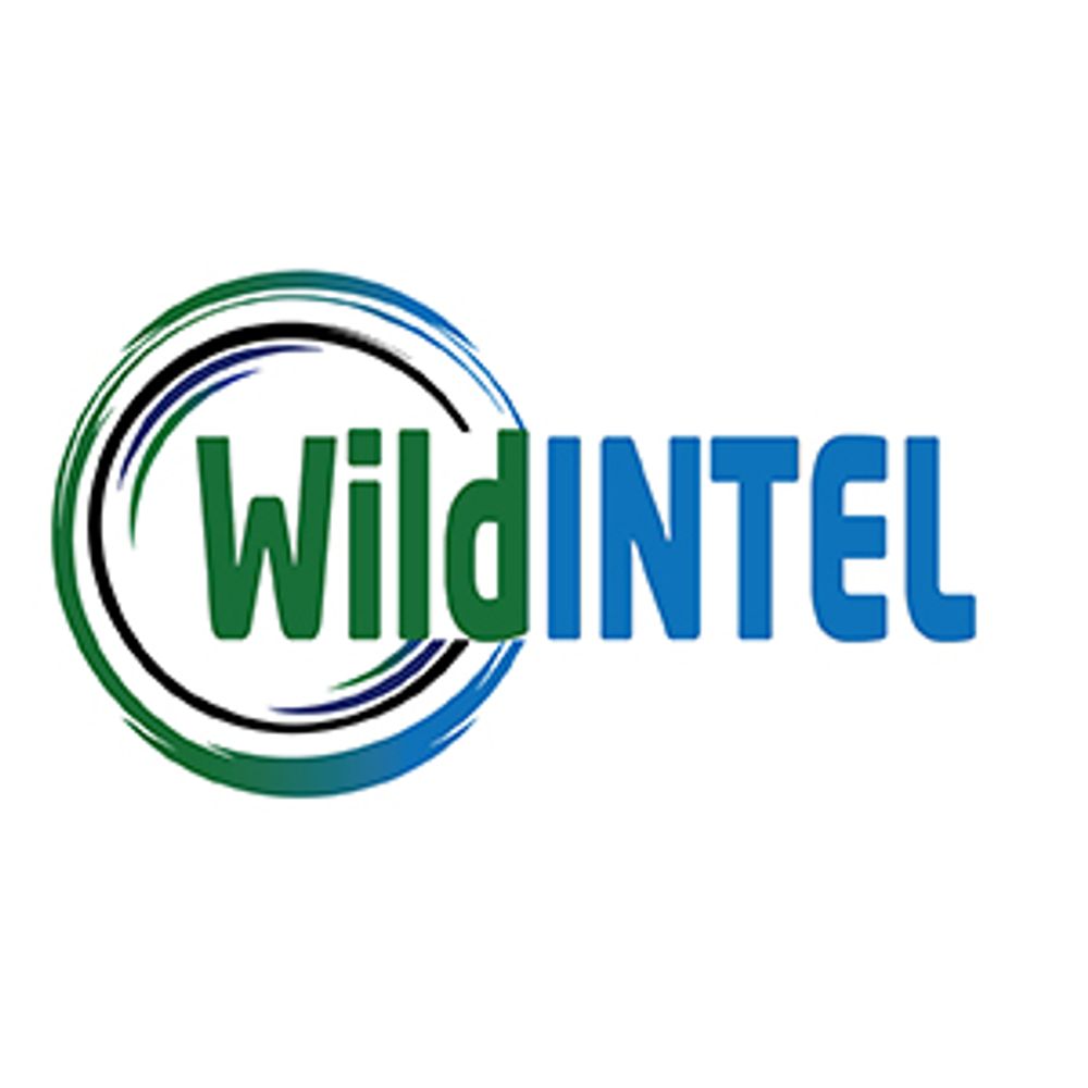 WildINTEL
