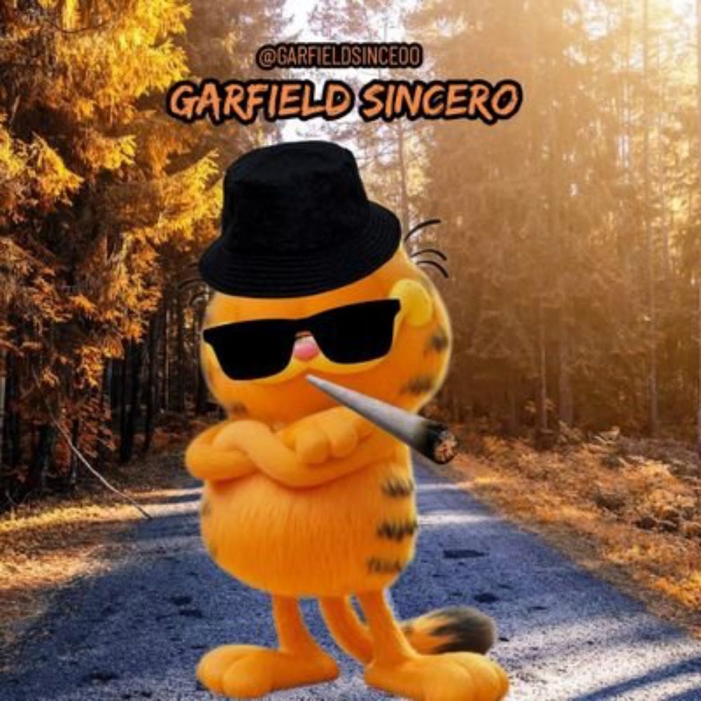 Garfield Sincero 