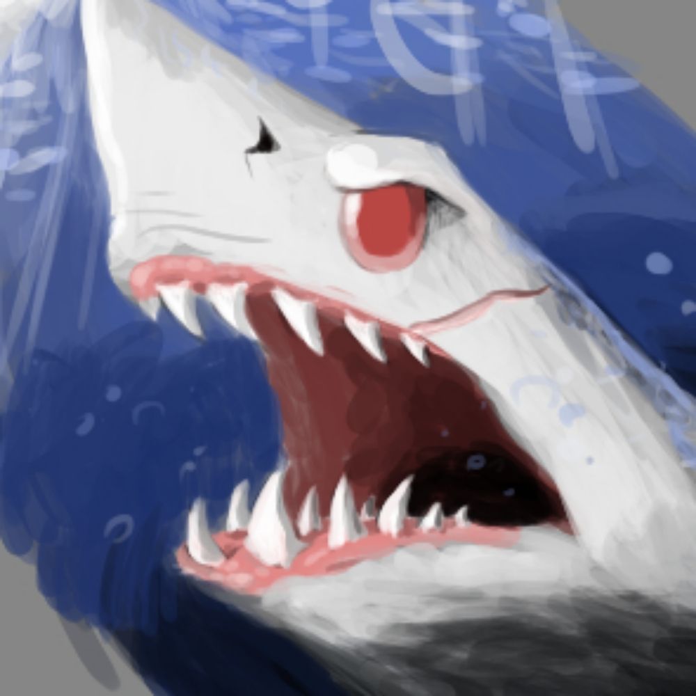 GaleoTheShark