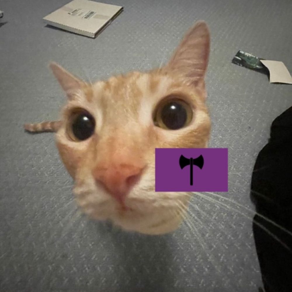 lesbian cats