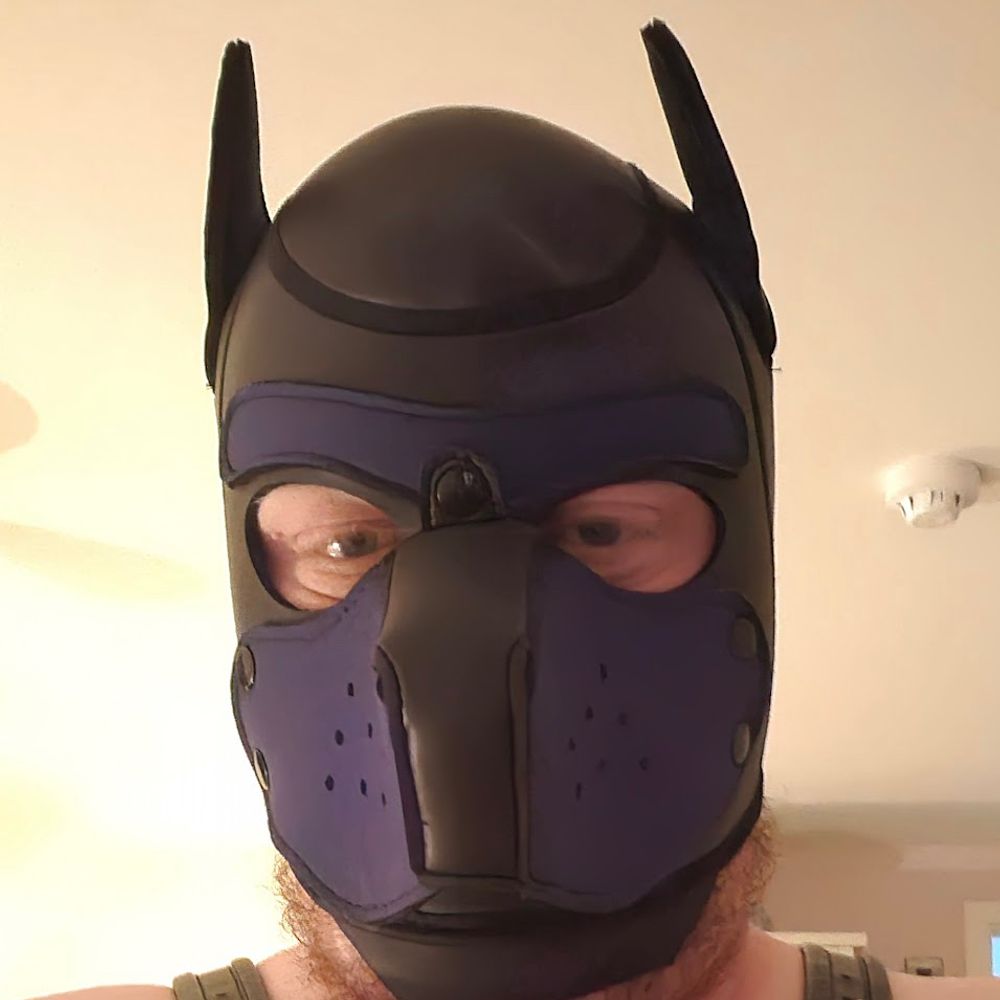 Busterpup92