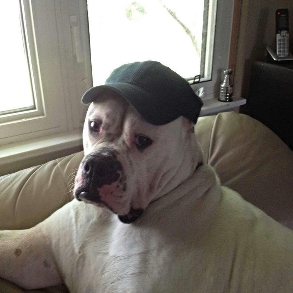 cole train
