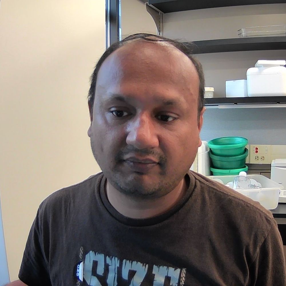 Yash Gupta PhD
