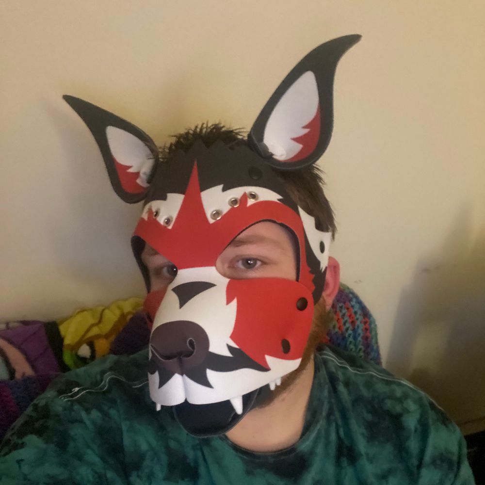 Duke Cox ➡️ MFF
