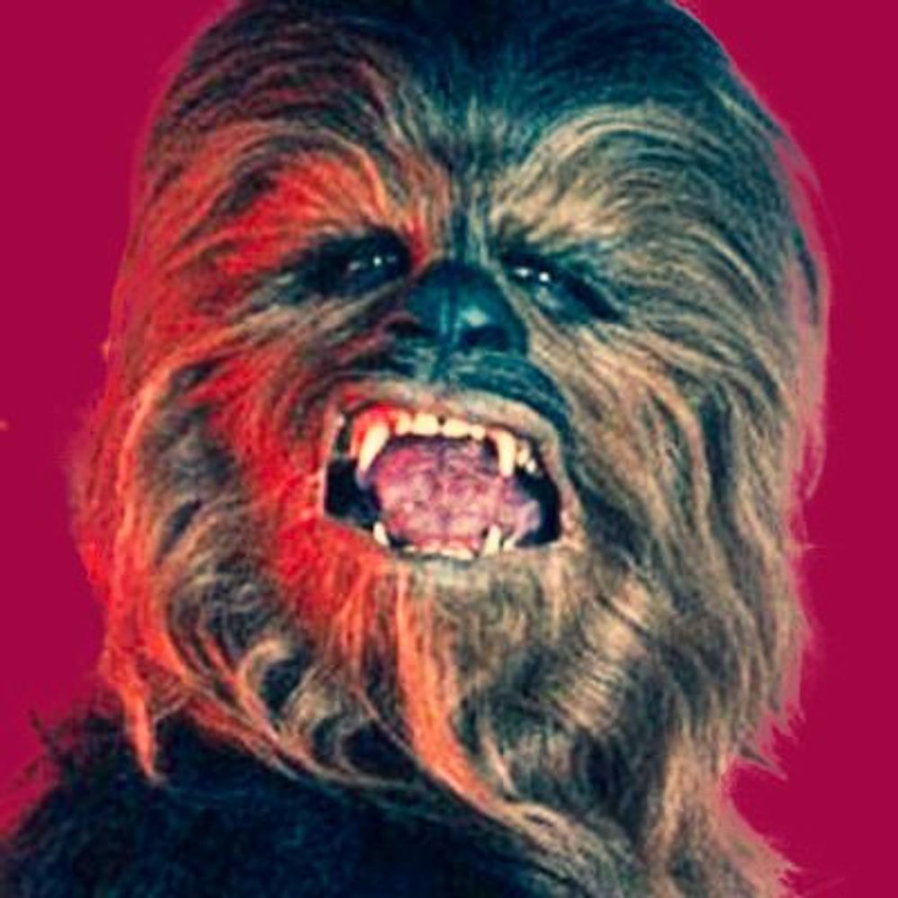 Boogie Wookiee