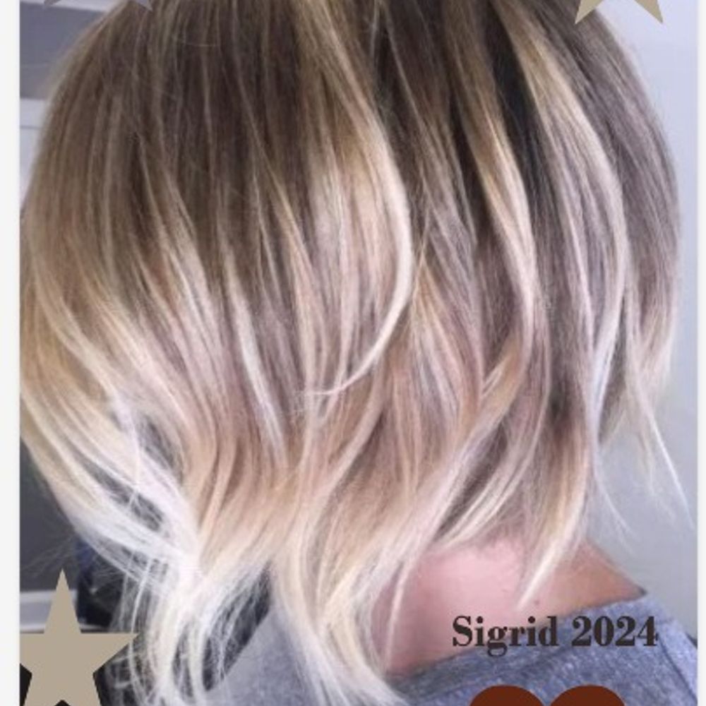 Siɠrid