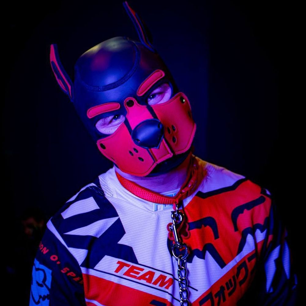 Pup Archie 🐶🐾's Avatar