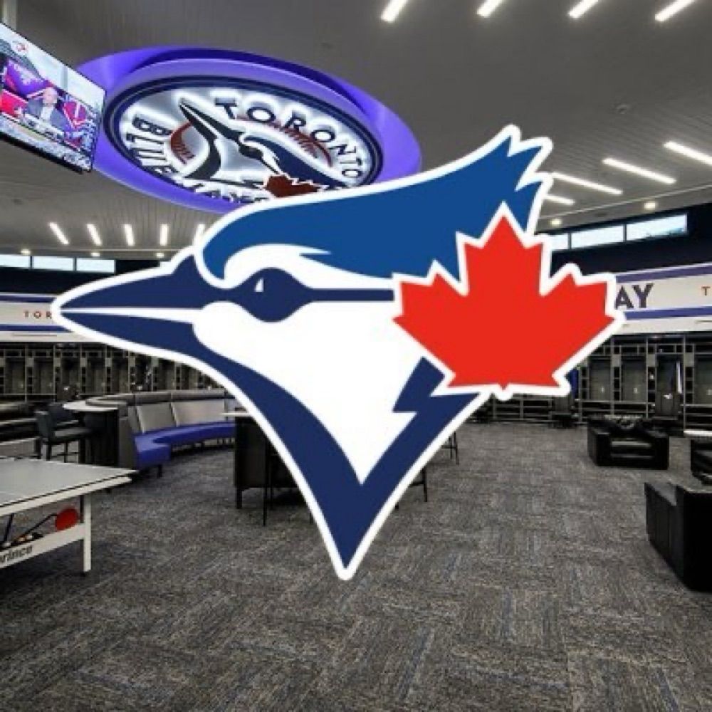BlueJays Domain