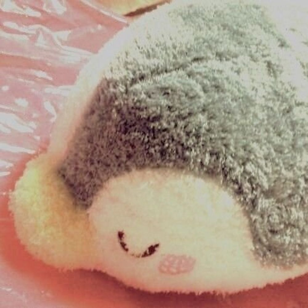 ささら