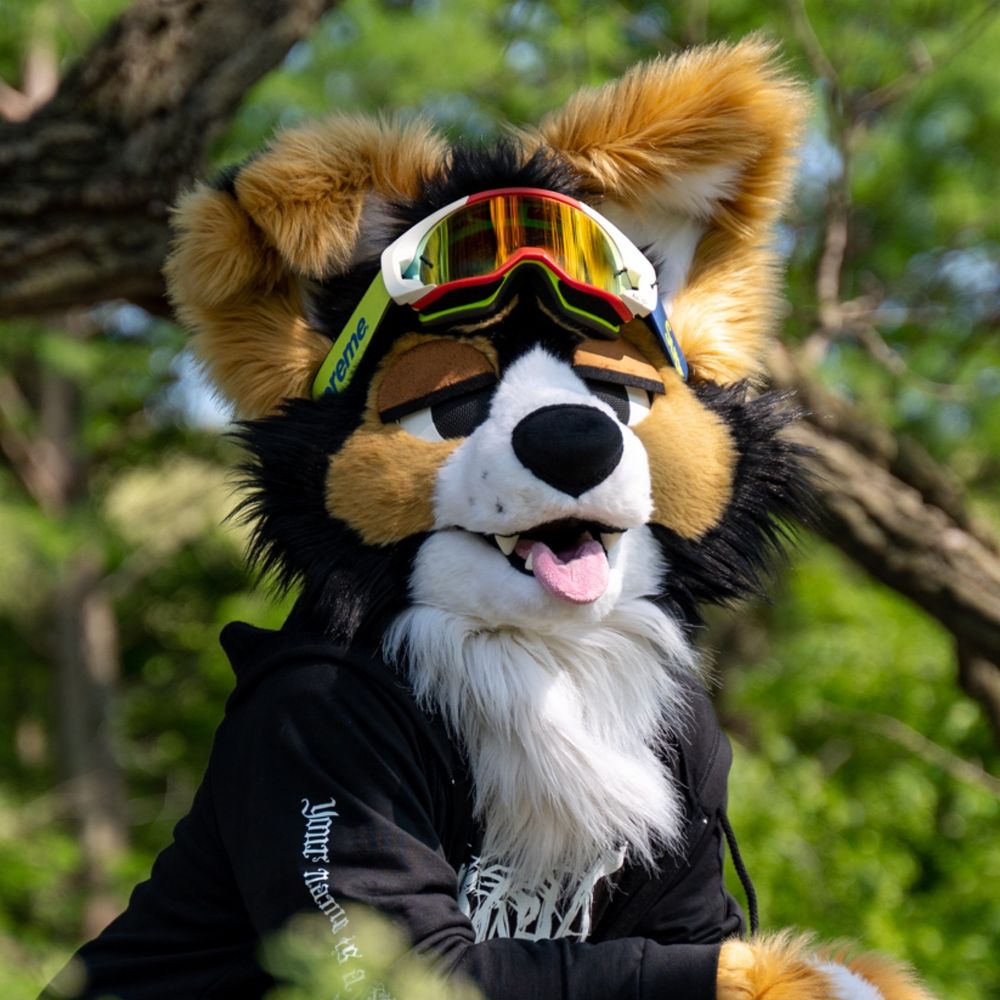 NORF