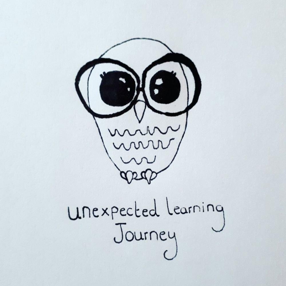 Unexpected Learning Journey