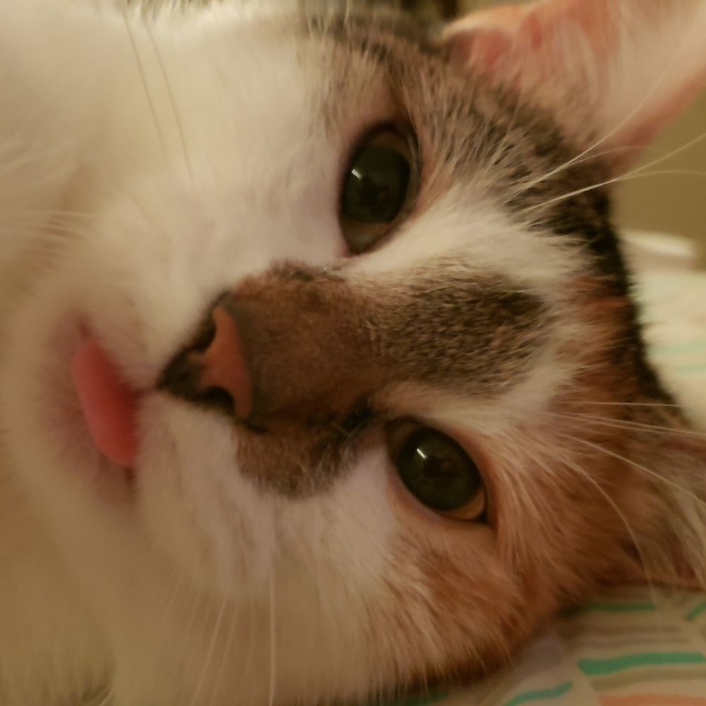 mel