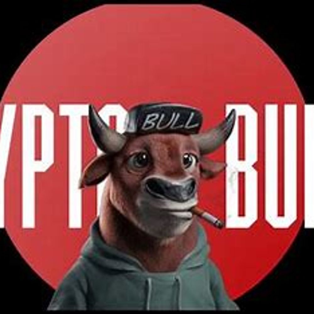 BULL RUN