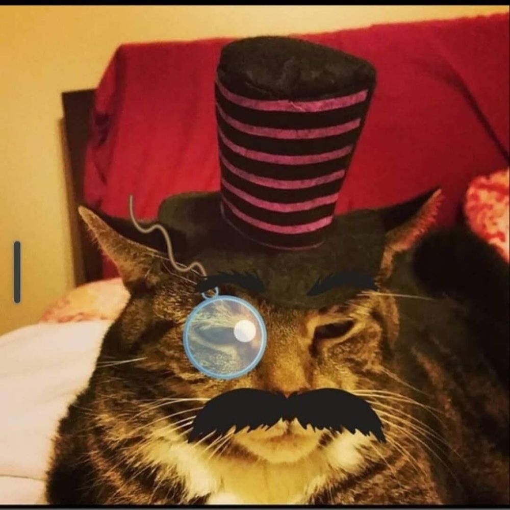 Chibagrrl