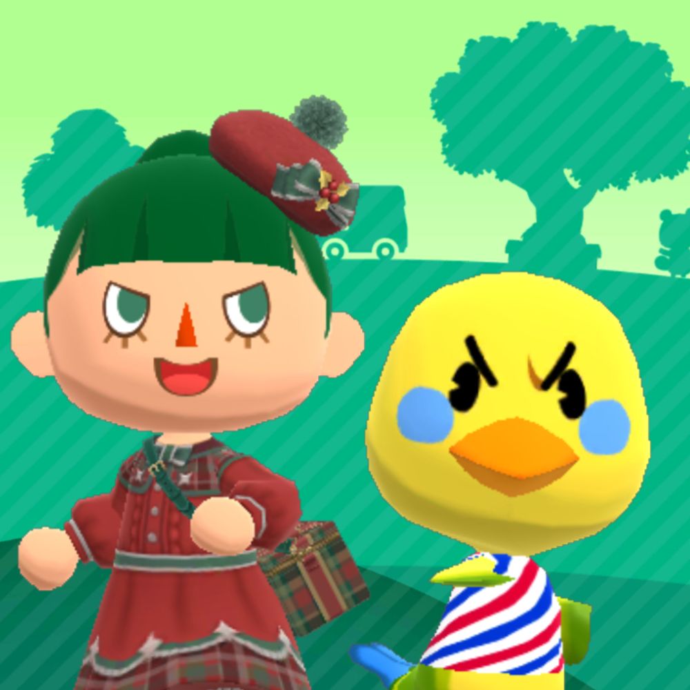 パッションセンターしまうま