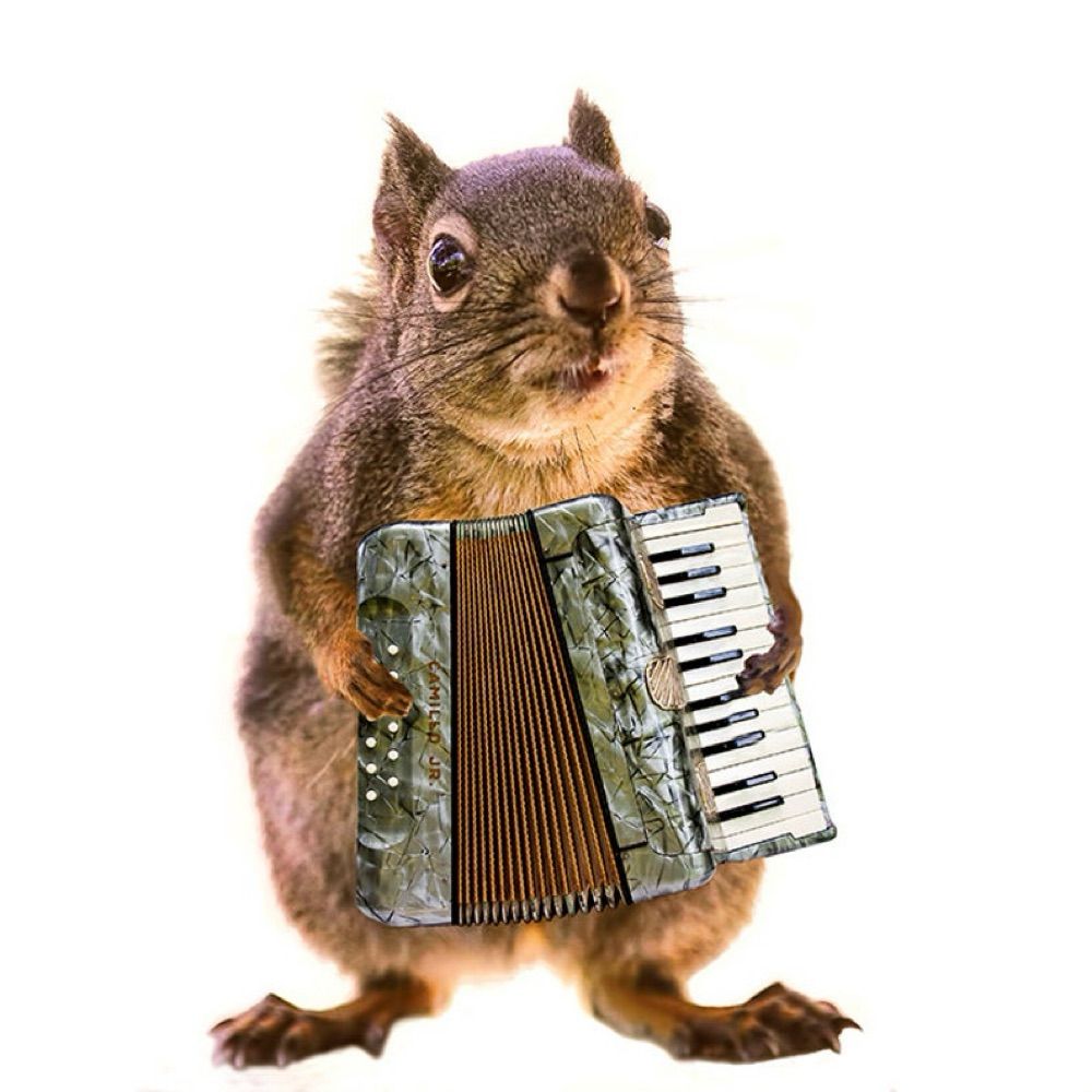 Rusty the Squirrel