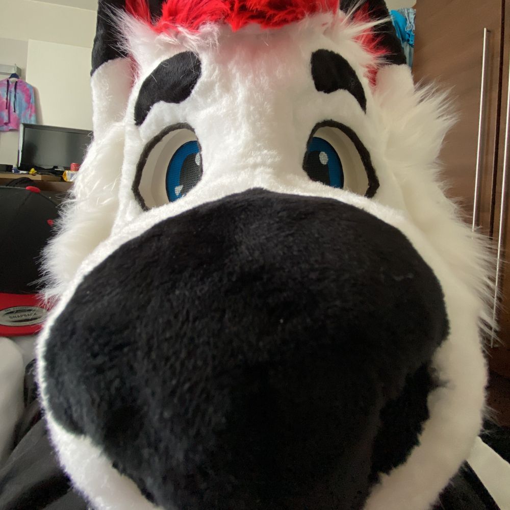 Twitch Huskey 