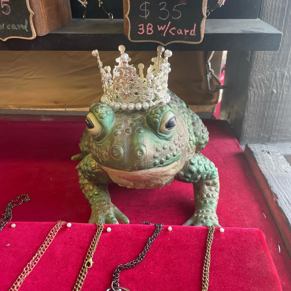master bingus