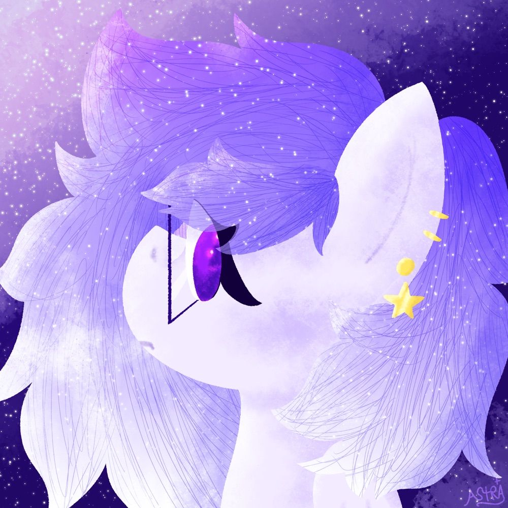 ☾ ∘₊✧─ Twix / Astra ─✧₊∘ ☽